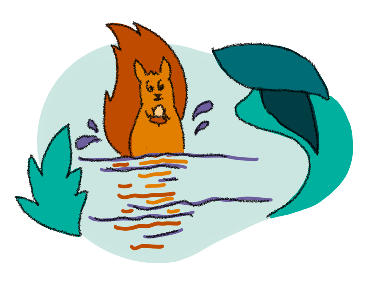 Cecil squirrel