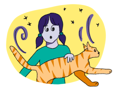 Dardy + cat